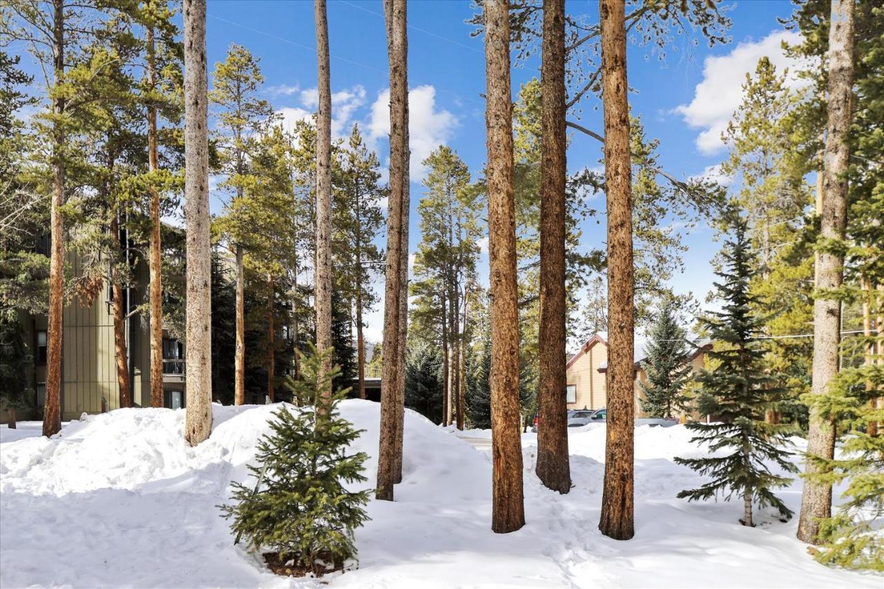 Park Forest Estates Breckenridge Zewnętrze zdjęcie